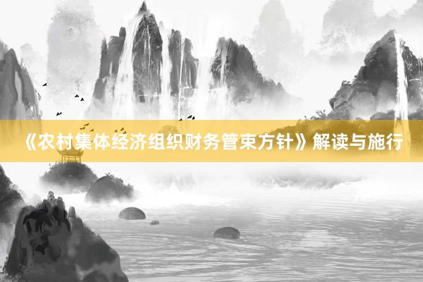 《农村集体经济组织财务管束方针》解读与施行